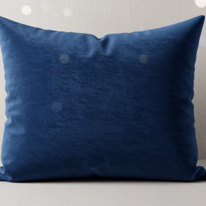 Velvet Cushion